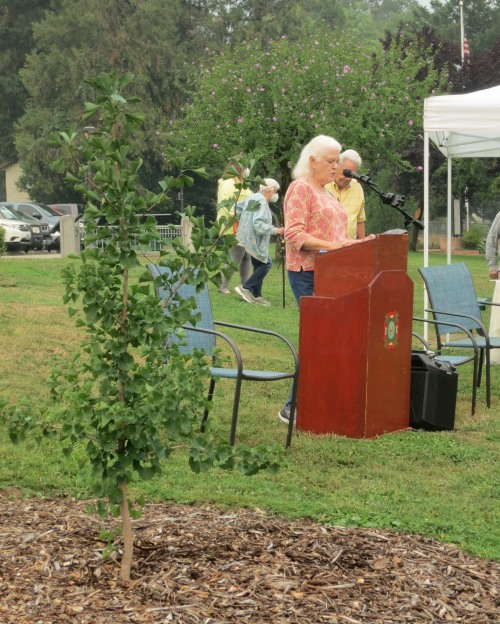 JoAnn Dixon speaking while standing behind a podium